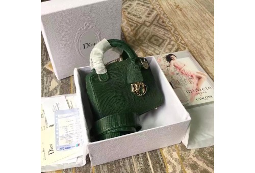 CD-BAG-DL-131 Dior Lady Top Handle Bag Lizardskin Green